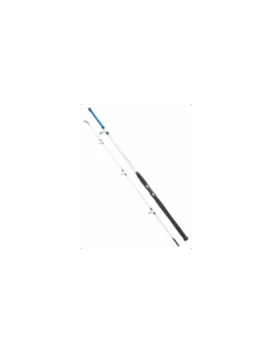 ARCA ATLANTIC BOAT 240