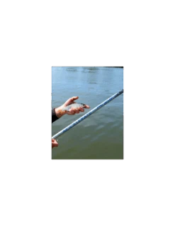 CRESTA HENGEL IDENTITY ACCELERATE WHIP 6M 9 CRESTA HENGEL IDENTITY ACCELERATE WHIP 6M -Vissen Product Winkel cresta hengel identity accelerate whip 6m 2