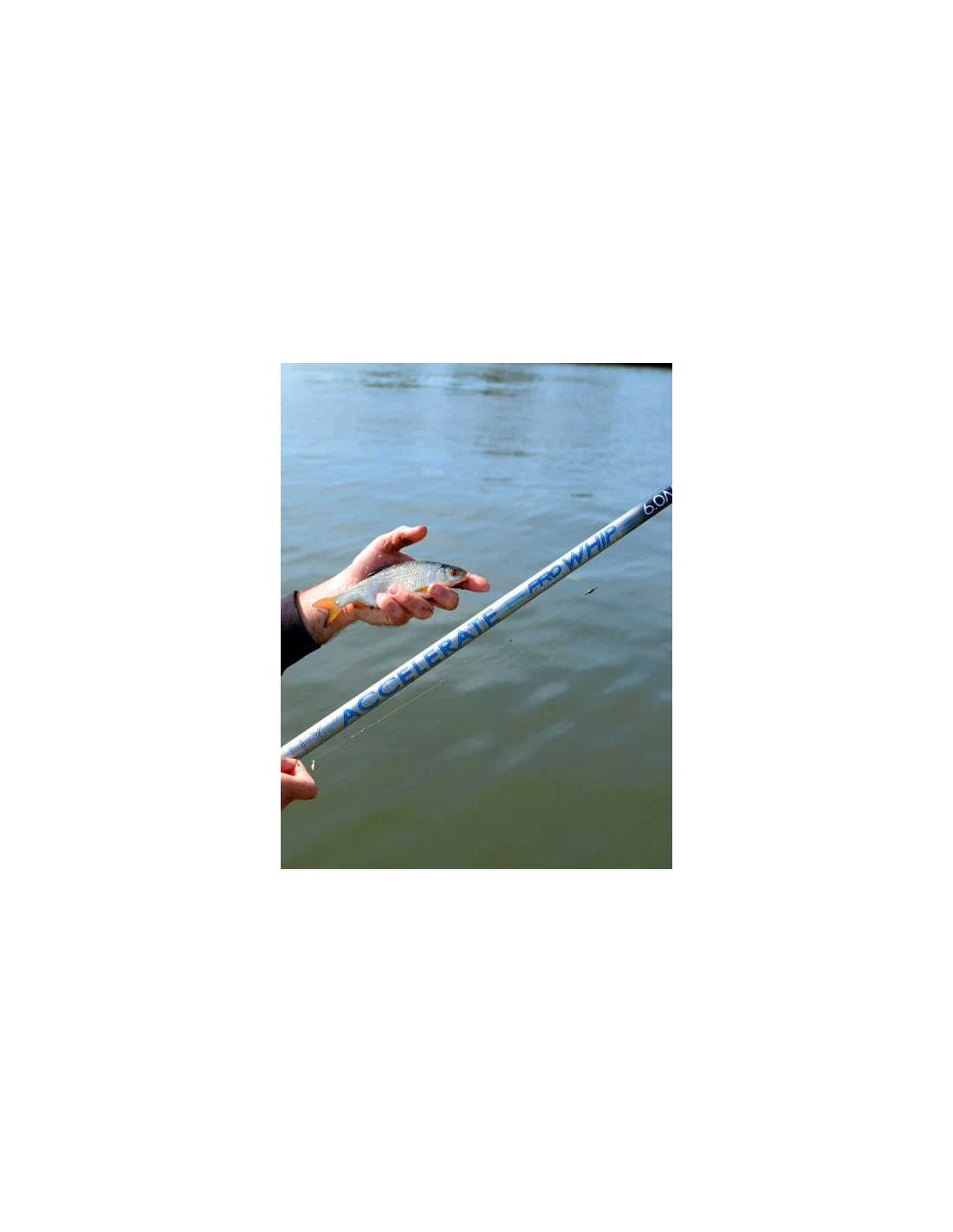 CRESTA HENGEL IDENTITY ACCELERATE WHIP 6M 5 CRESTA HENGEL IDENTITY ACCELERATE WHIP 6M - Afbeelding 3