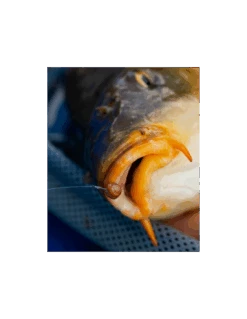 FJUKA BAIT PELLET HOOK & FEED 2IN1 NATURAL FJUKA BAIT -Vissen Product Winkel fjuka bait pellet hook feed 2in1 natural fjuka bait 3