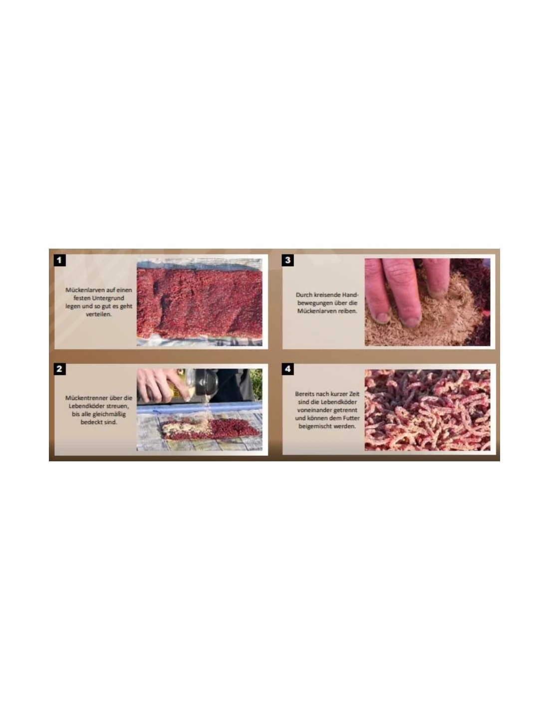 FTM LOSMIDDEL MUGGENLARVEN - VERS DE VASE AMINO FLASH MUCKENTRENNEN 560GR FTM 3 FTM LOSMIDDEL MUGGENLARVEN - VERS DE VASE AMINO FLASH MUCKENTRENNEN 560GR FTM