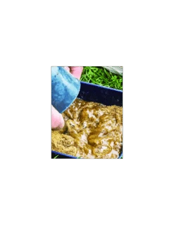 SONUBAITS PASTE ONE TO ONE GREEN SONUBAITS -Vissen Product Winkel sonubaits paste one to one green sonubaits 1