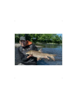 SONUBAITS PELLETS HALIBUT FEED PELLETS 900GR SONUBAITS -Vissen Product Winkel sonubaits pellets halibut feed pellets 900gr sonubaits 2