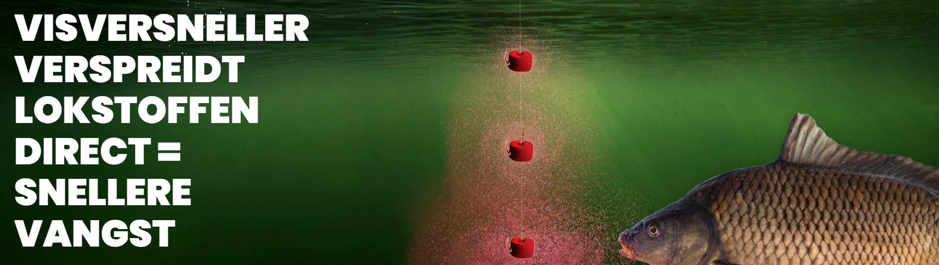 Vissen Product Winkel -Vissen Product Winkel ghkjgj